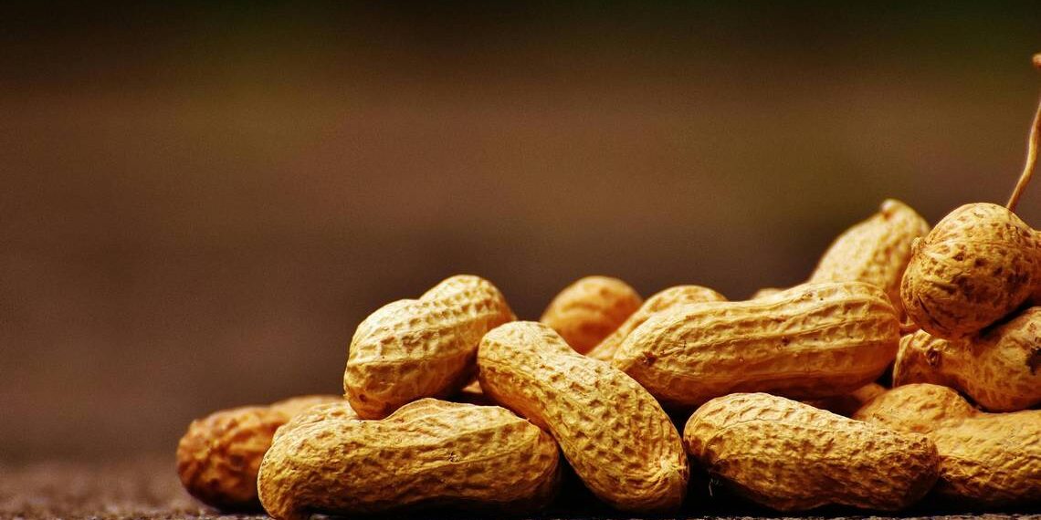https://www.pexels.com/photo/close-up-photo-of-shelled-peanuts-209371/