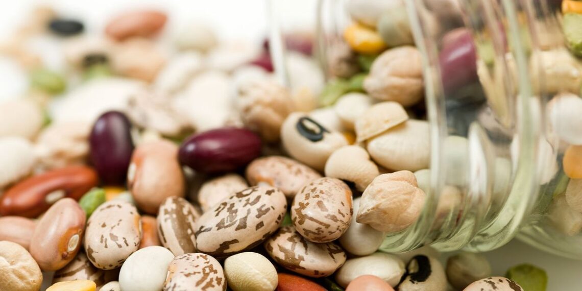 Protecting endangered foods one bite at a time