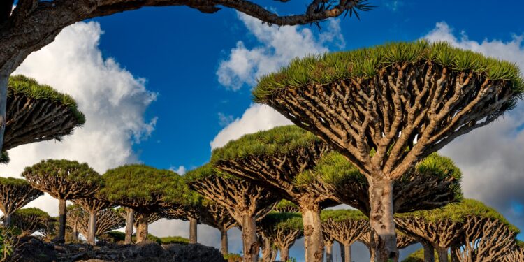 Brujos poderosos, serpientes voladoras y otras leyendas en una misteriosa isla del océano Índico que parece de otro mundo