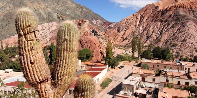 aún con turistas más "gasoleros", este año se espera un crecimiento del sector