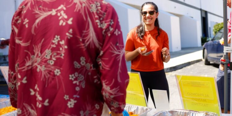 Mangoes from India inspiring South Bay "mango mania"