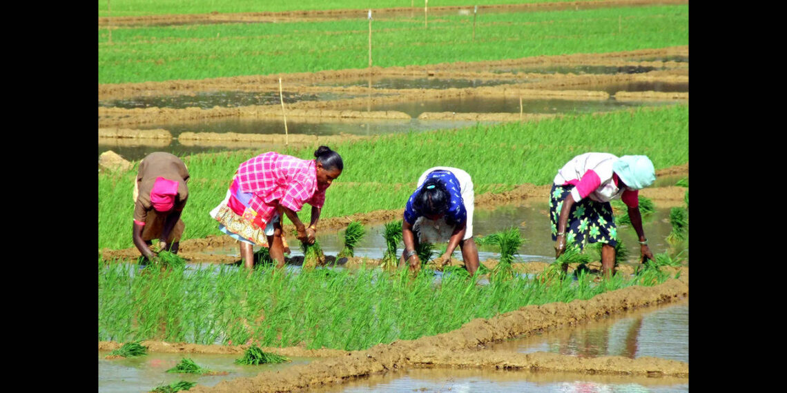 Unique ID system needed to track organic foods: Expert | Goa News