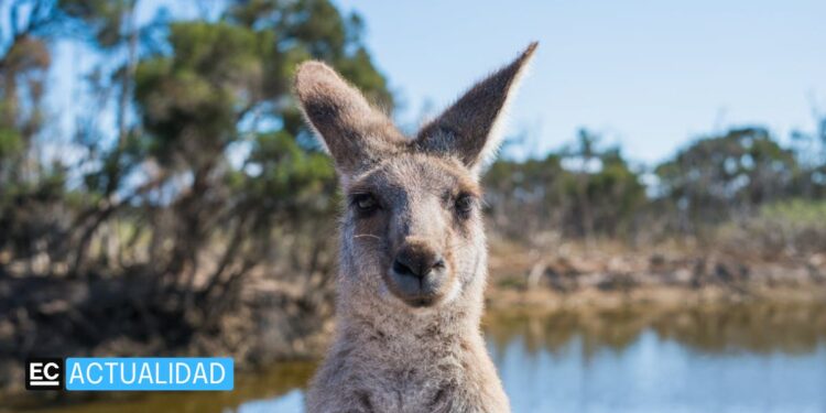 Los 10 países más seguros para viajar en este 2024