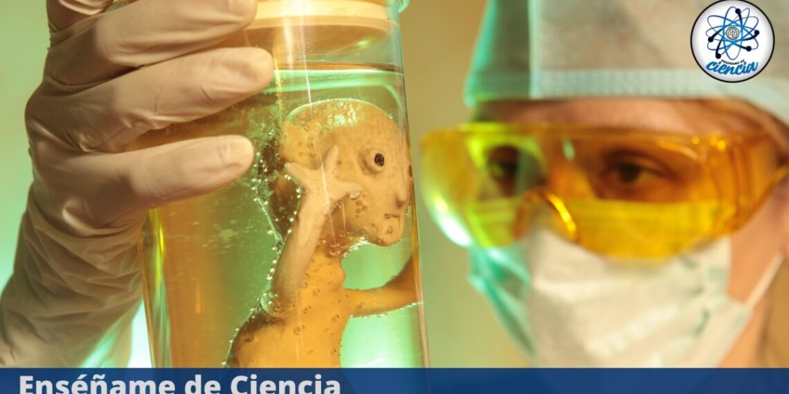 Las mejores películas de ciencia ficción sobre viajes espaciales y batallas intergalácticas – Enséñame de Ciencia