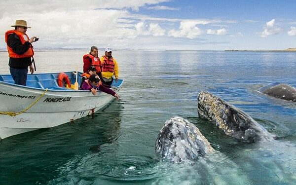 Heroica Mulegé, tu próximo destino para explorar el corazón de Baja California Sur