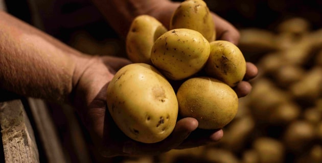 Pure Foods Tasmania “major restructuring” in 3Q24