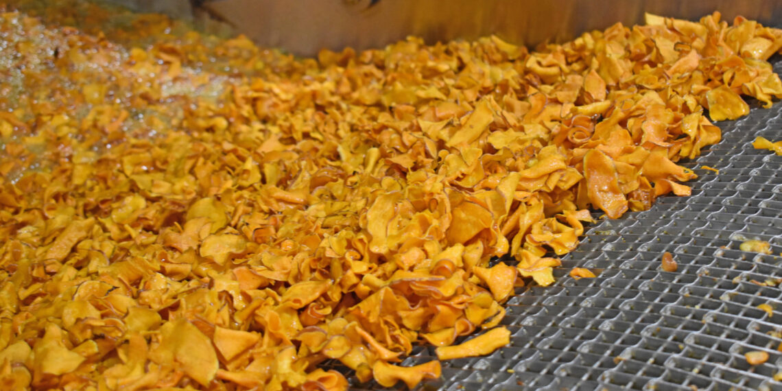 a sea of sweet potato chips come out of a frier