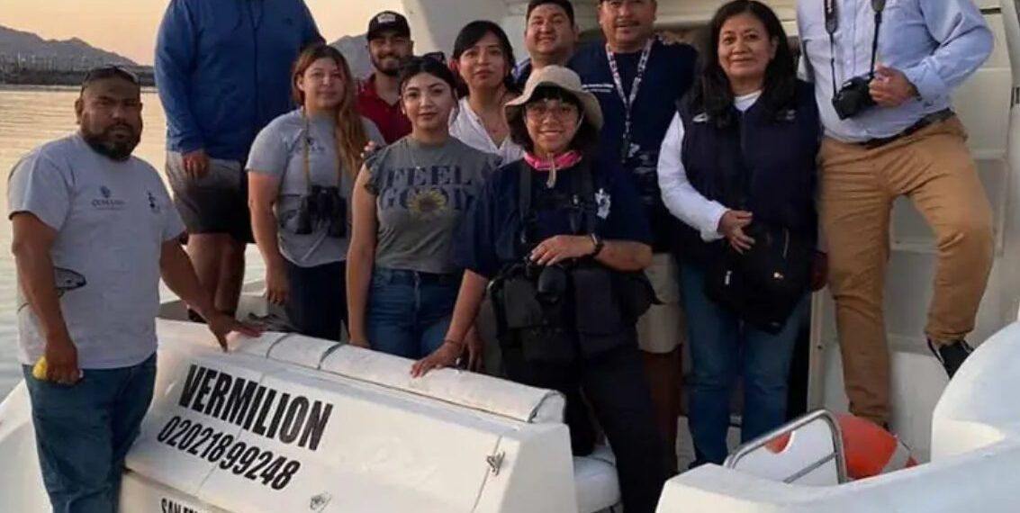 Parte un crucero de observación de la Vaquita Marina en 2024