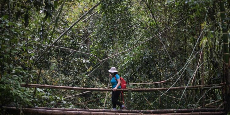 10 destinos no tradicionales en Colombia para disfrutar en las vacaciones