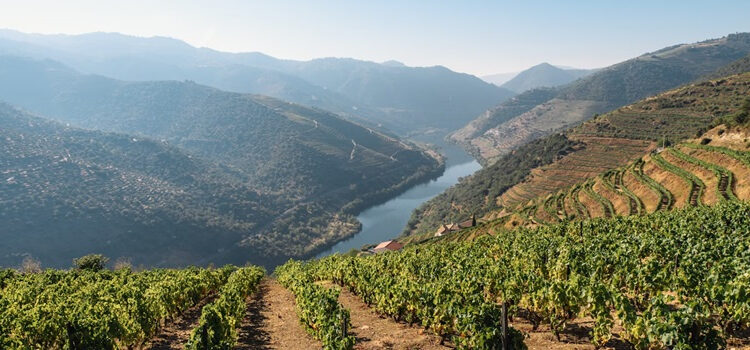 Tendencias del nuevo viejo turismo: doméstico, pero de largo recorrido