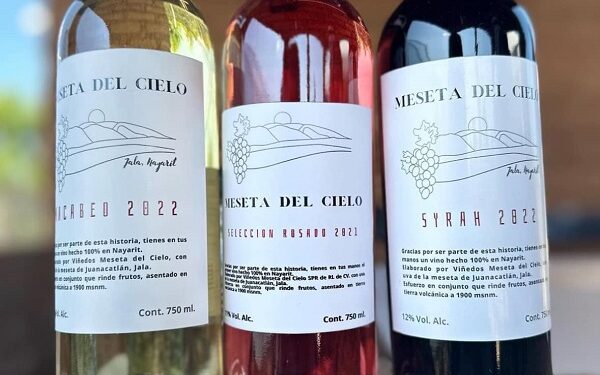 ¡Visita Meseta del Cielo, el primer Viñedo de Nayarit!
