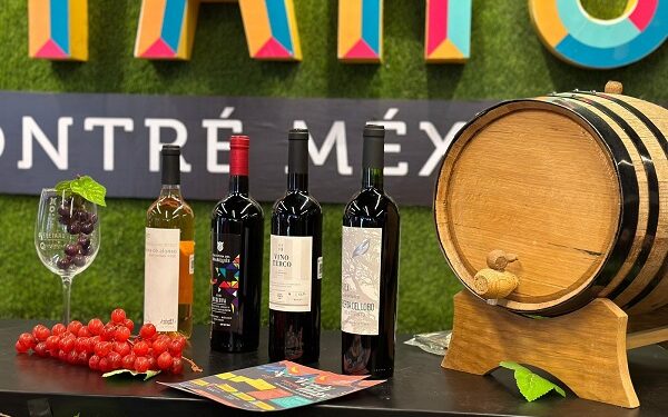 Inicia en Querétaro la Temporada de Vendimias 2024