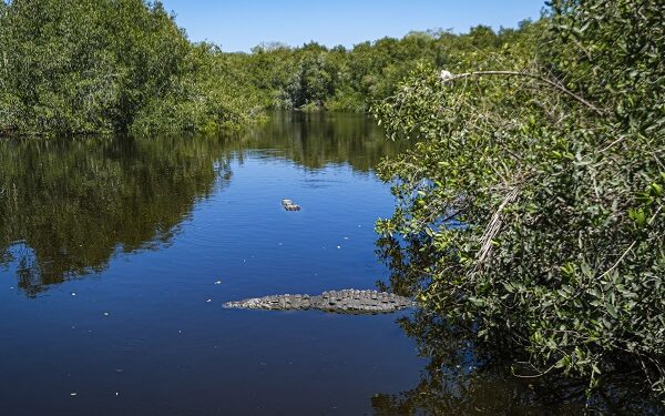 Explora la diversidad natural de Costalegre, un emblema de turismo responsable
