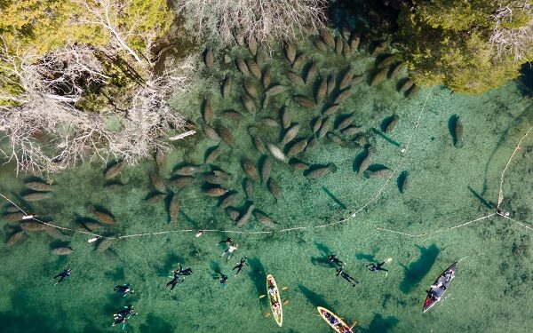 9 destinos en Florida para explorar el universo submarino