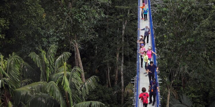 Seguiridad en los viajes|Las cuatro cosas que hay que hacer para tener unas vacaciones seguras
