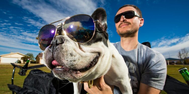 Estos son los mejores destinos para viajar con tu mascota este verano y disfrutar unas vacaciones petfriendly