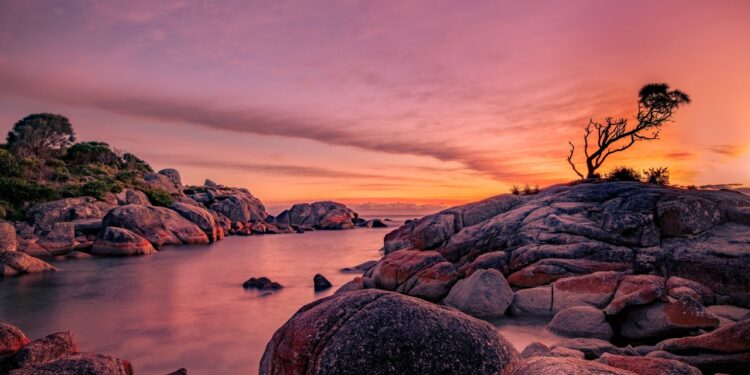 Architectural Digest México y Latinoamérica