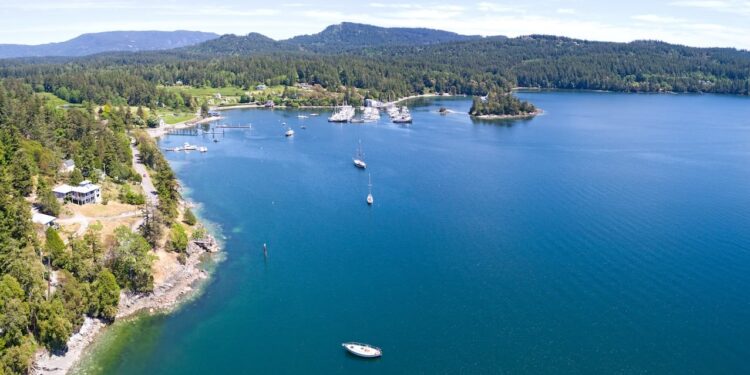 Islas San Juan entre los mejores destinos para viajes de verano en EE. UU.