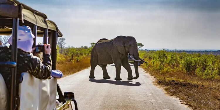 Los españoles viajan un 15% más que hace un año y se disparan los viajes al extranjero