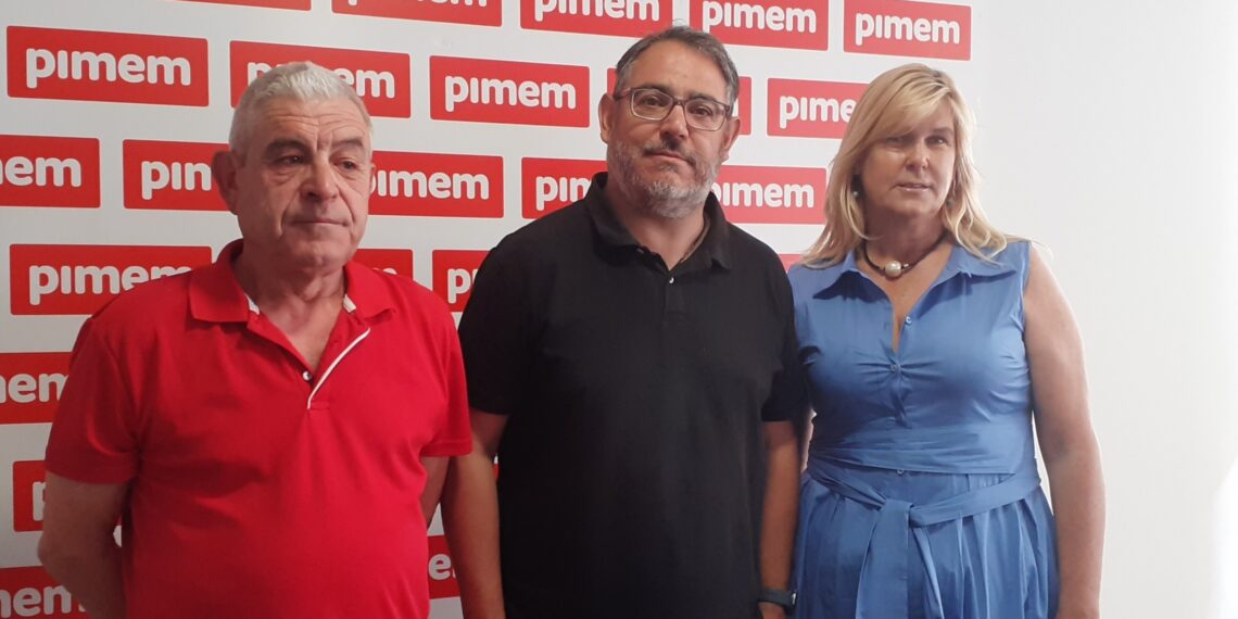 Los guías turísticos de PIMEM piden que no se restrinja la llegada de cruceros