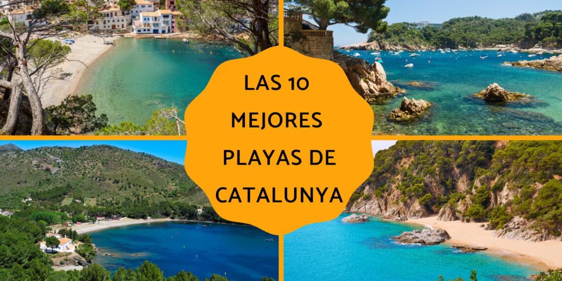 guía completa para disfrutar al máximo del verano