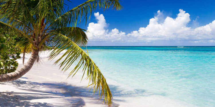 Ocho experiencias de las que solo podrás disfrutar en Puerto Rico