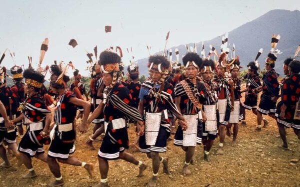 Pandaw abre reservas para un crucero y recorrido por tierra para presenciar Festival del Cálao