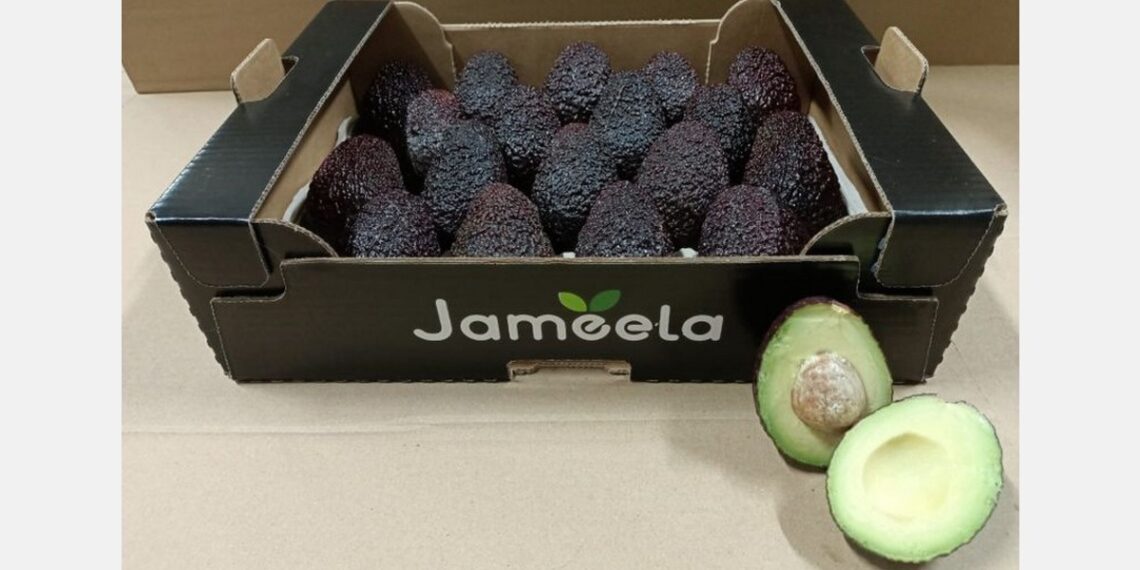 "Ofrecemos aguacates en cuatro estados de maduración diferentes; no todo el mundo quiere el mismo aguacate"