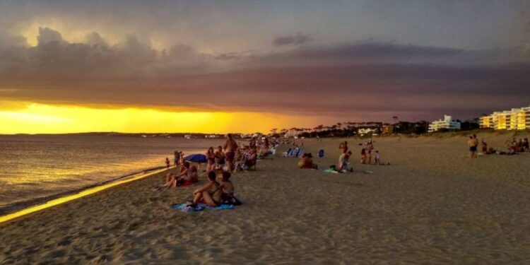Punta del Este en venta: proponen construir puerto de cruceros en la Mansa y vender tierras públicas