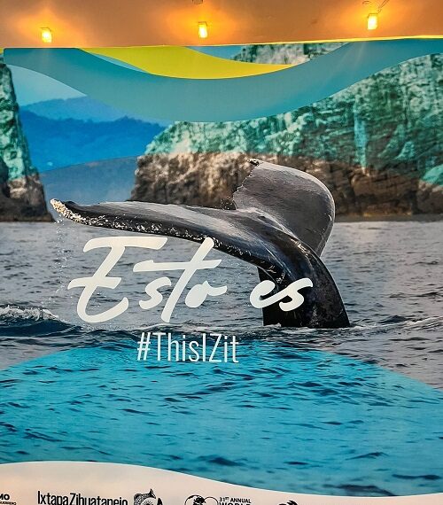 Ixtapa Zihuatanejo realiza Caravana de Promoción Turística en la CDMX con motivo por los 50 años de Ixtapa