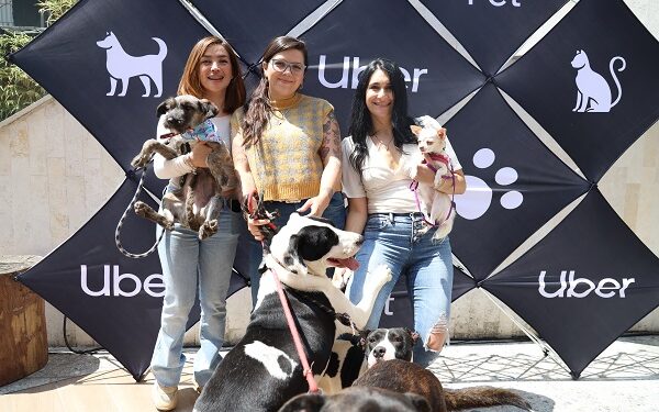Lomitos y michis, bienvenidos en Uber. Los usuarios podrán viajar con una mascota a través de “Uber Pet”
