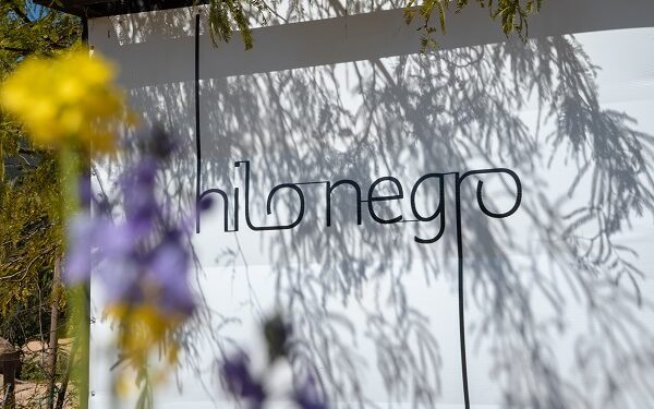 Descubre Hilo Negro: Donde el vino se convierte en una experiencia única