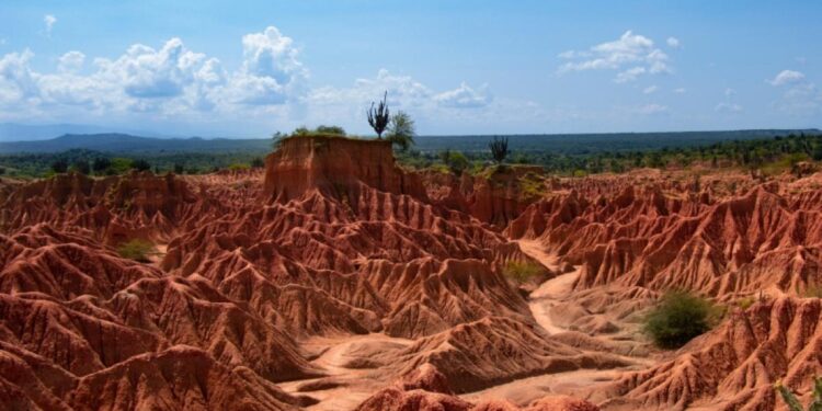 Conozca la mejor época del año para viajar al desierto de la Tatacoa