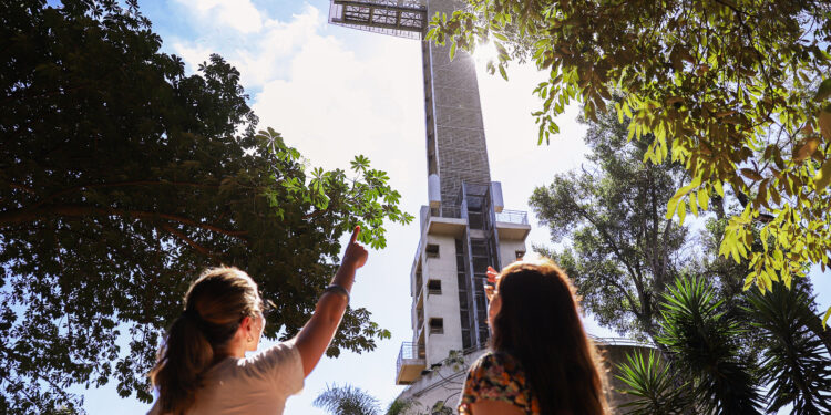 Vacaciones de invierno: agencias ofrecen paquetes turísticos para visitar la zona Sur de la provincia