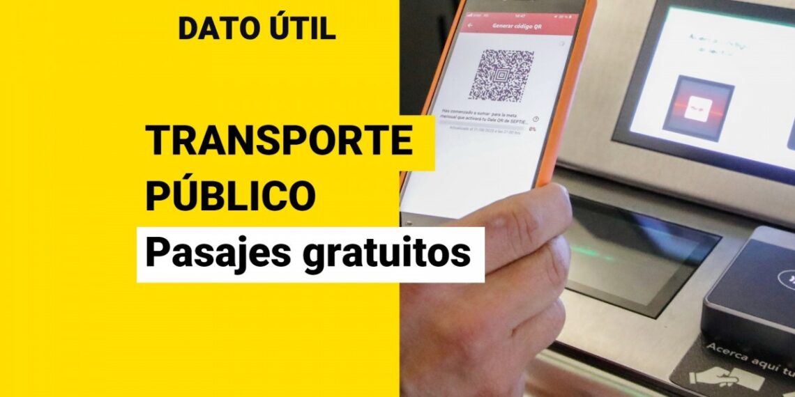 ¿Cómo acceder a los viajes gratuitos en el transporte público?