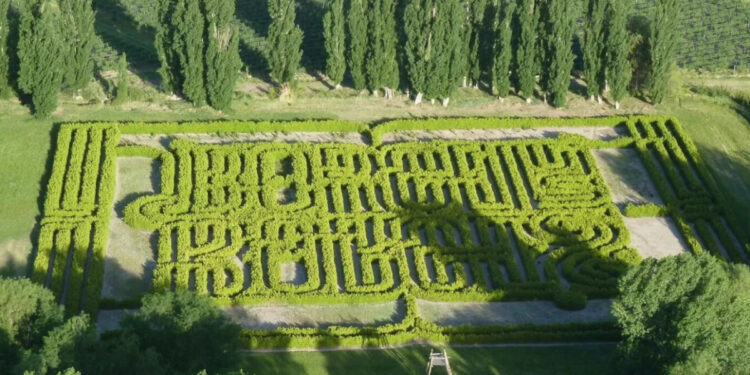 Laberinto Borges. Fuente: X