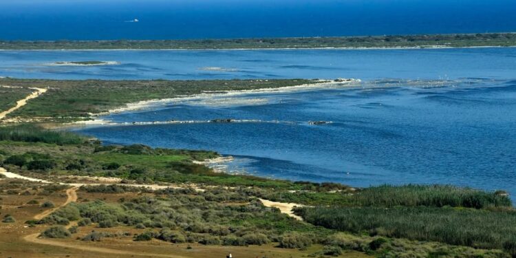 La espectacular playa de Almería que tiene una de las dunas mejor conservadas de España