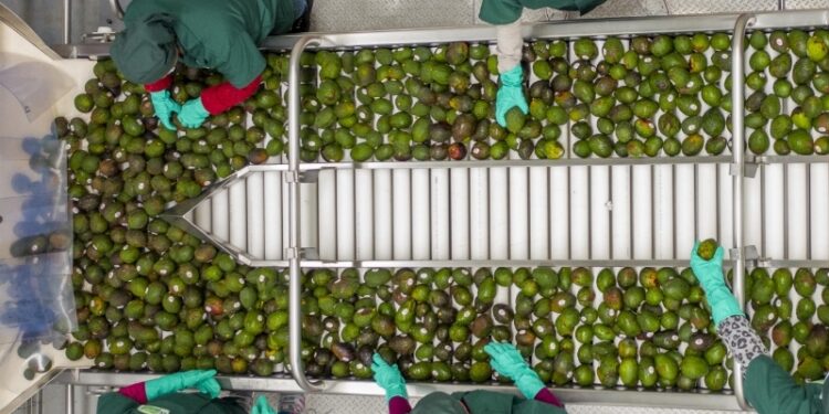 EU solicita a México investigación laboral en RV Fresh Foods