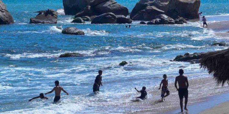 No han disminuido las reservaciones de hoteles por la violencia: agencias de viajes  