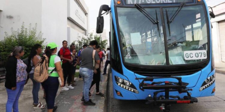 Los camiones del Va y Ven, con viajes gratis