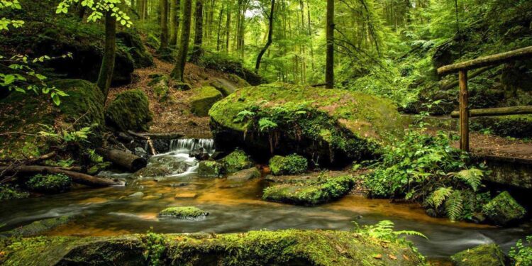 Destinos de montaña en verano en Navarra — idealista/news