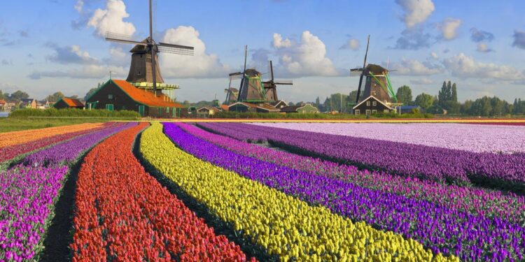 QUE VER EN PAISES BAJOS