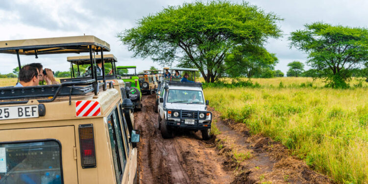 Consejos para evitar un safari masificado en África según los expertos