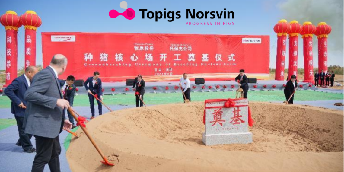 Topigs Norsvin y Muyuan Foods inician una granja núcleo en China - Notas de prensa del sector porcino