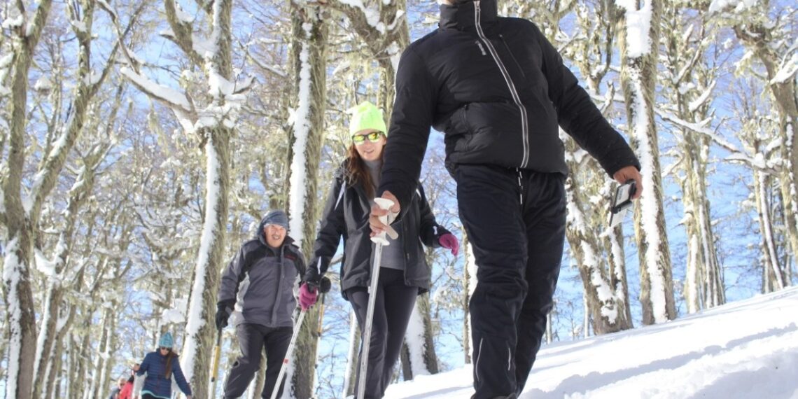 Turismo y las agencias de viajes diseñan una nueva norma legal para el sector