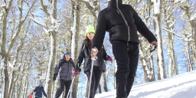 Turismo y las agencias de viajes diseñan una nueva norma legal para el sector