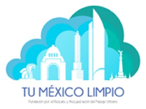 Diagnóstico de la publicidad exterior en el 2018-2024 en la Ciudad de México