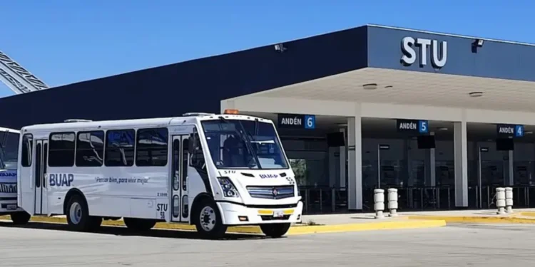 Alerta de RUTA sobre sitio web que ofrece viajes gratis para robar información personal