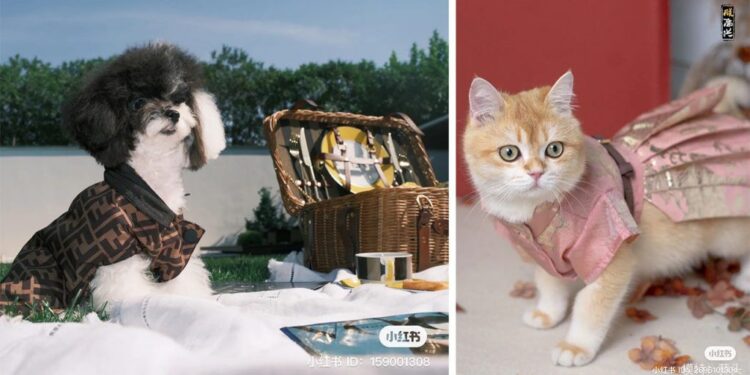 Bienestar, pasión por los viajes y bigotes: el nuevo rostro de los jóvenes chinos