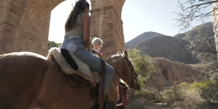 cómo armar tu próximo viaje con un 50% de descuento – Diario de Rivera